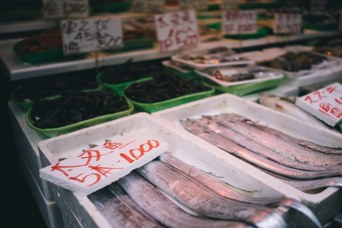 The freshest fish.
