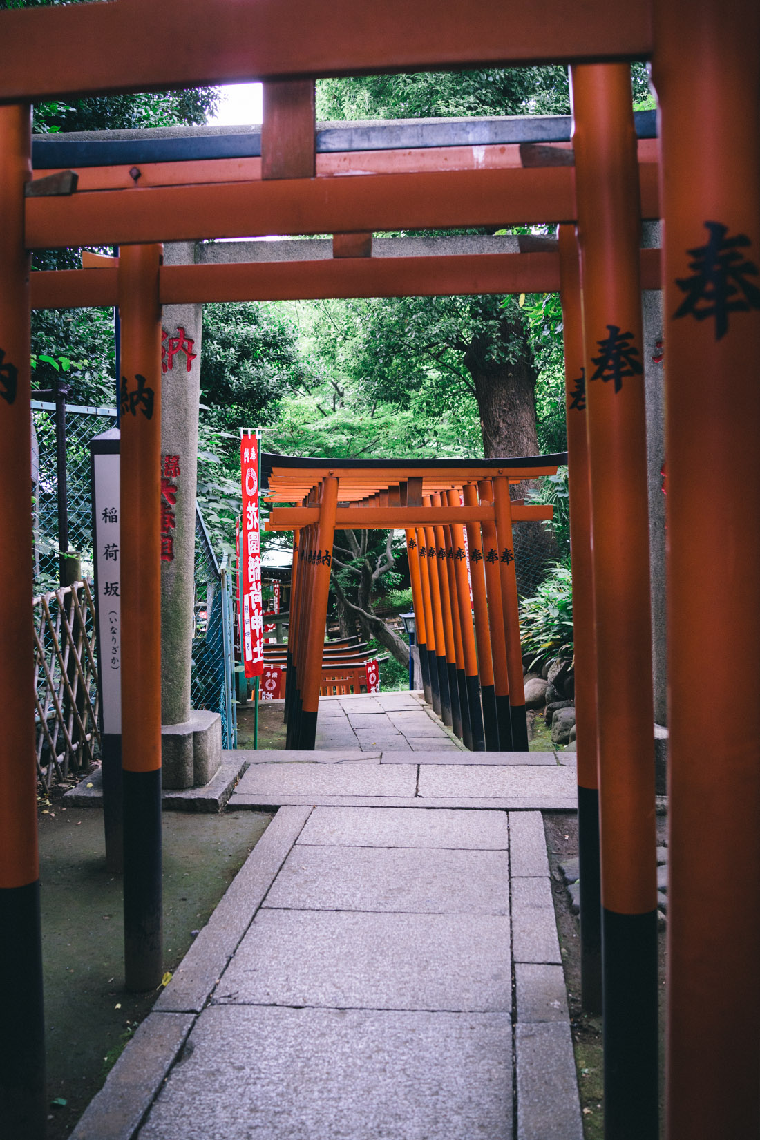 Tori to Hanazono Inari shrine.