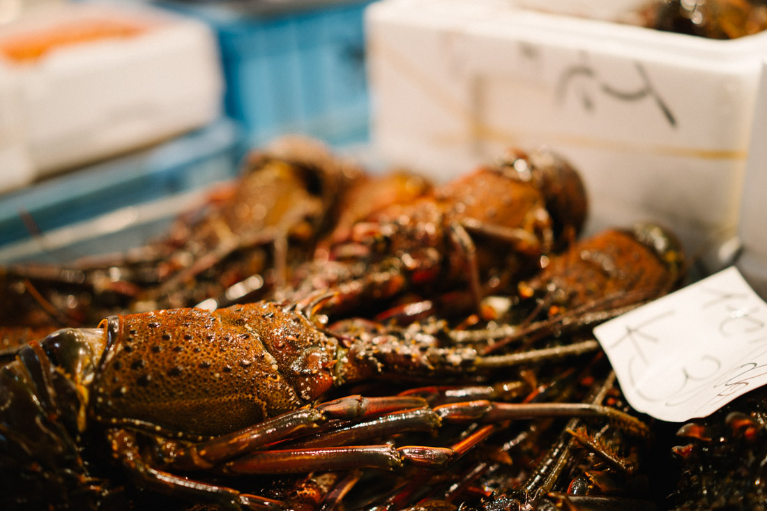 Japanese lobster with no claws.