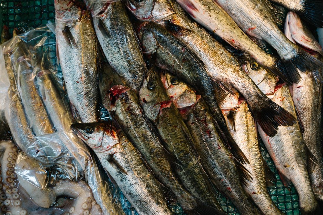 Freshly caught and killed fish.