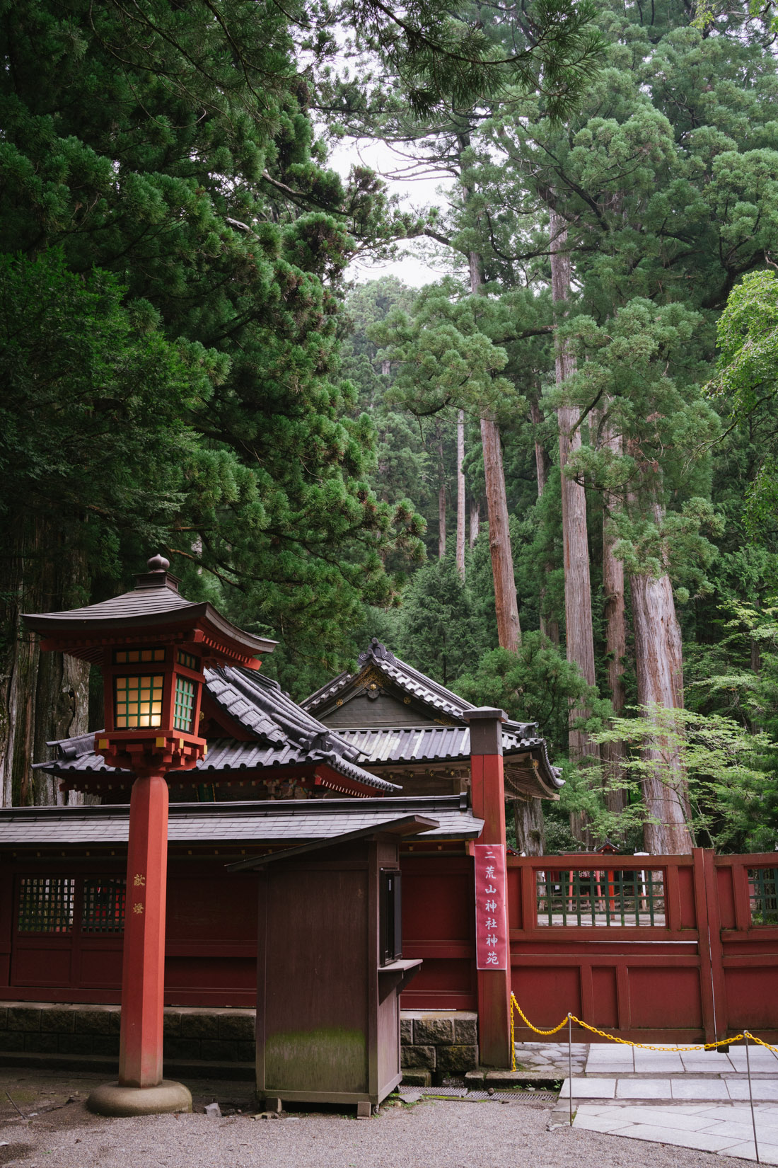 Futarasan shrine is literally surrounded by forest on all sides.