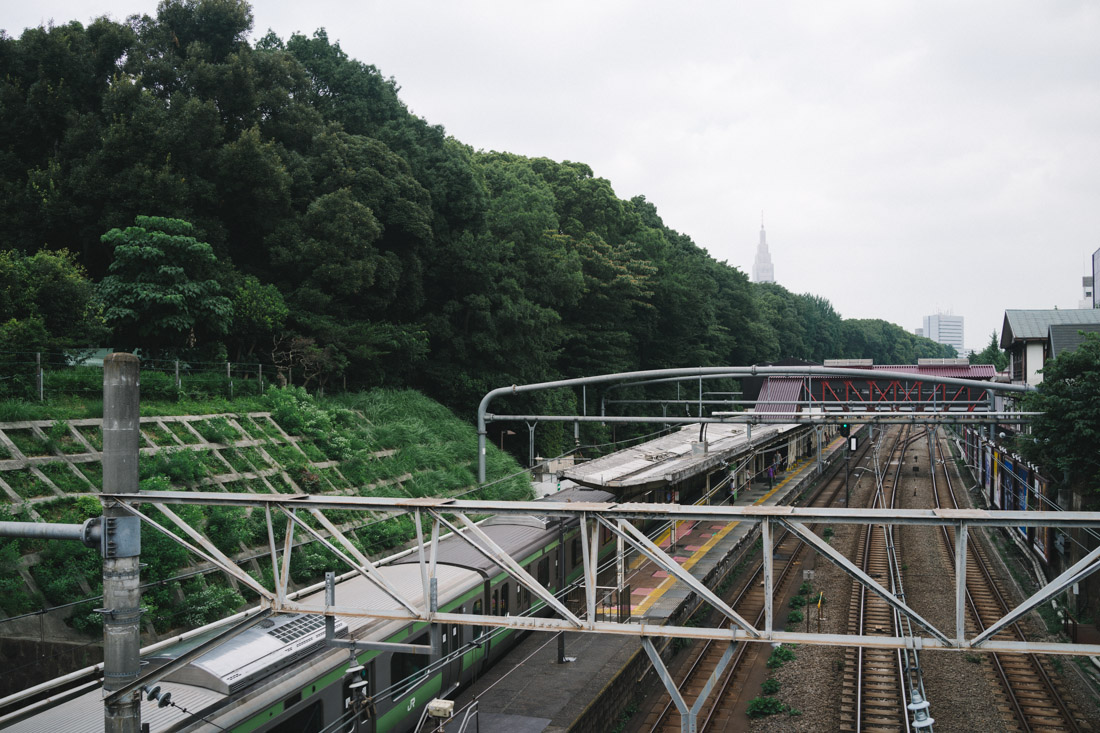 View from Harajuku train station heading Yoyogi park/Meiji shrine.