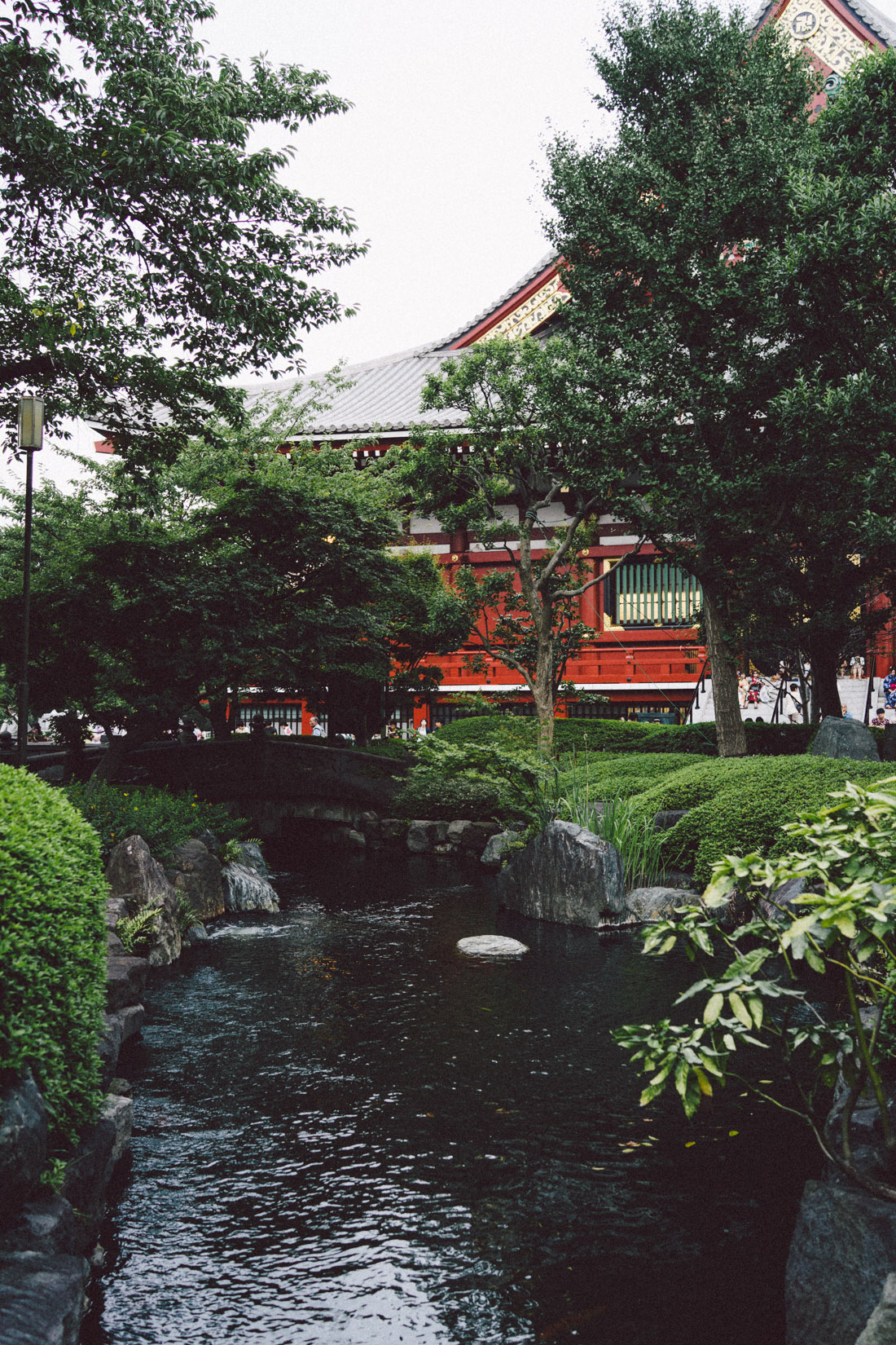 untitled-00875