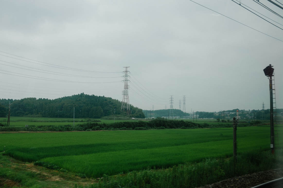 Endless rice fields and high tension wires live side-by-side