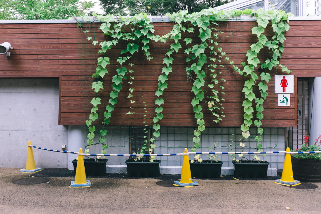There’s a mystic balance in Japan.