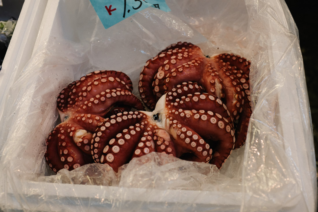 Good looking octopus.