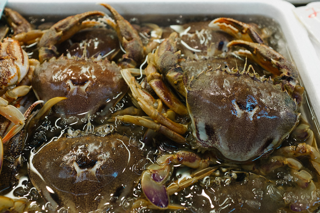 Japanese crabs.