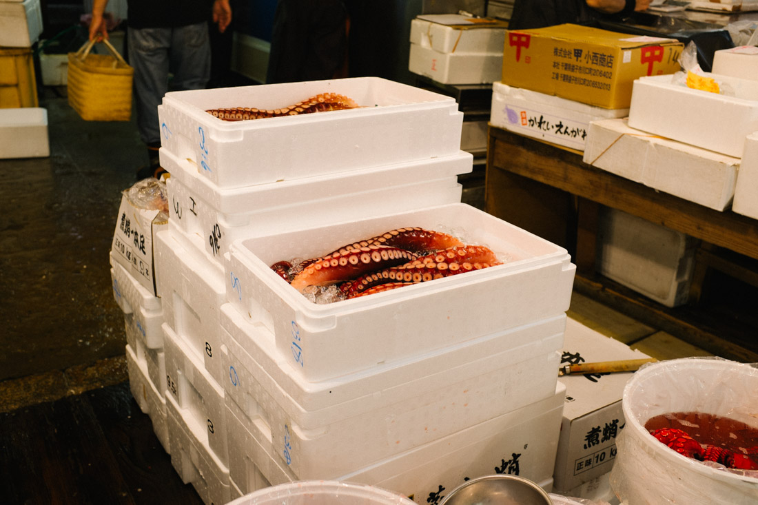 Octopus legs already boxed and ready to be shipped.
