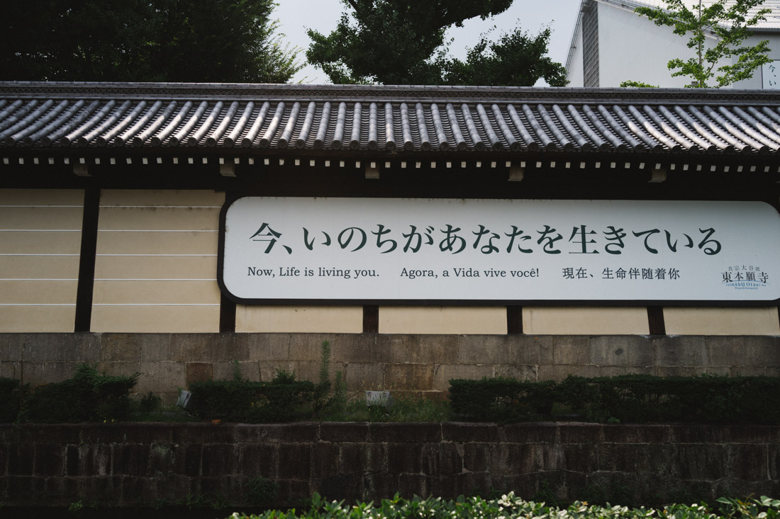 untitled-01263