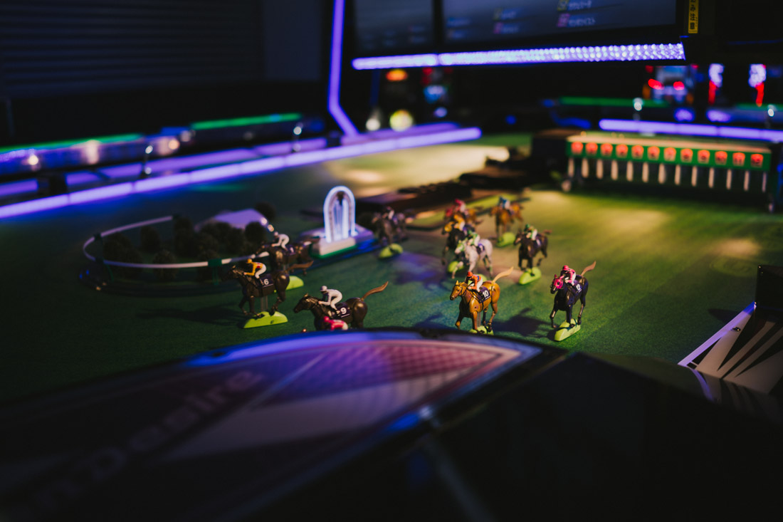 Arcade game where you bet on a horse and watch it race on an actual scale track.