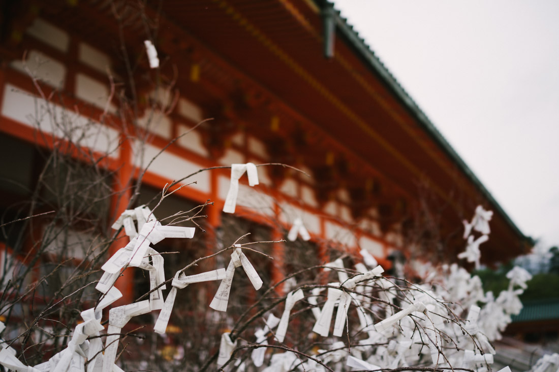 untitled-01556