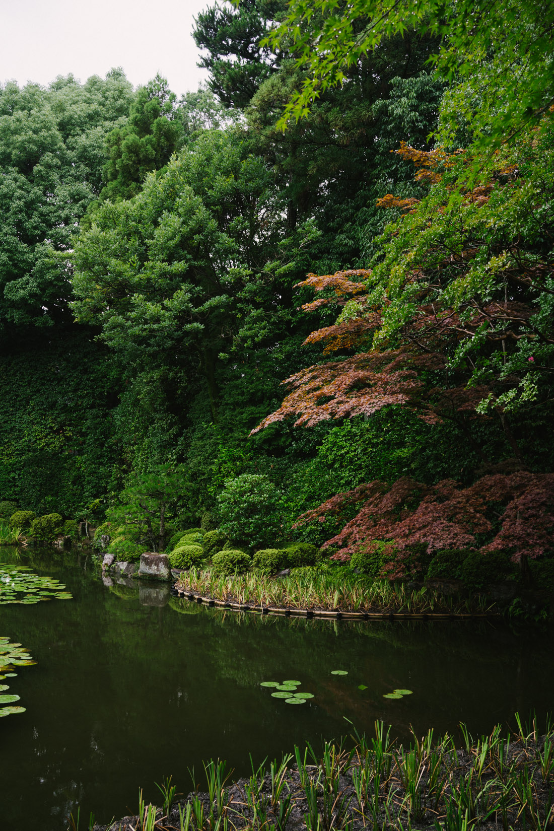 untitled-01580