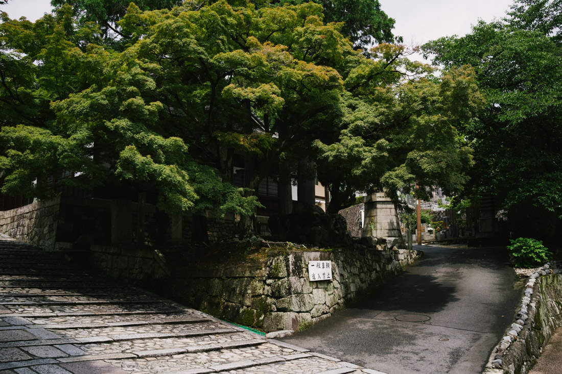 untitled-01640