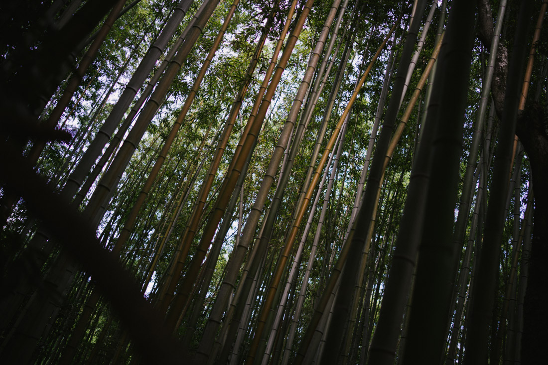 untitled-01832