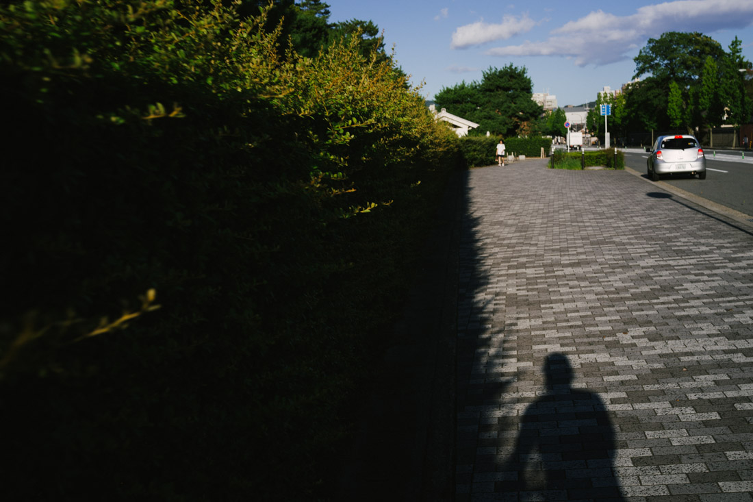 Passing by [Nijo Castle](/nijo-and-its-gardens/).