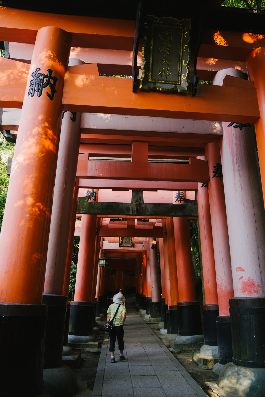 There are some very very ancient torii along the path, and few very recent ones.