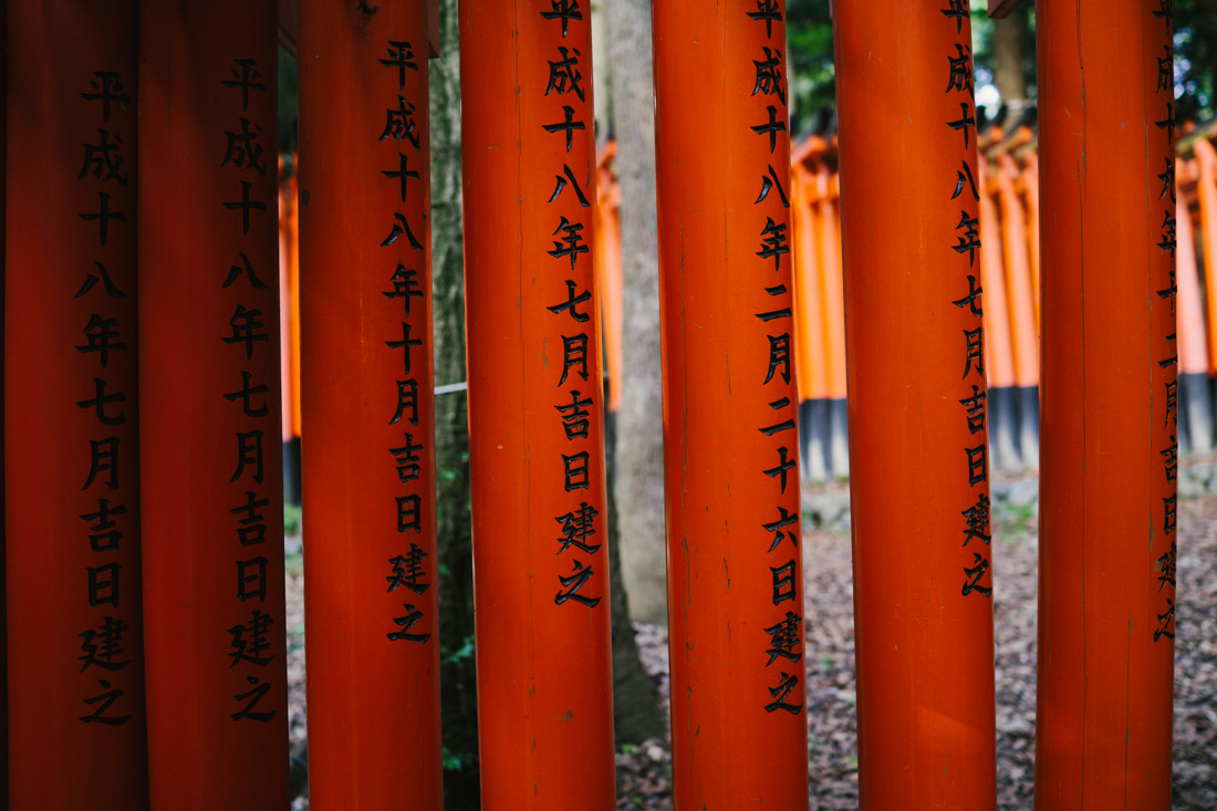 The names of the ones who donated the torii and the date can be read in each of them.