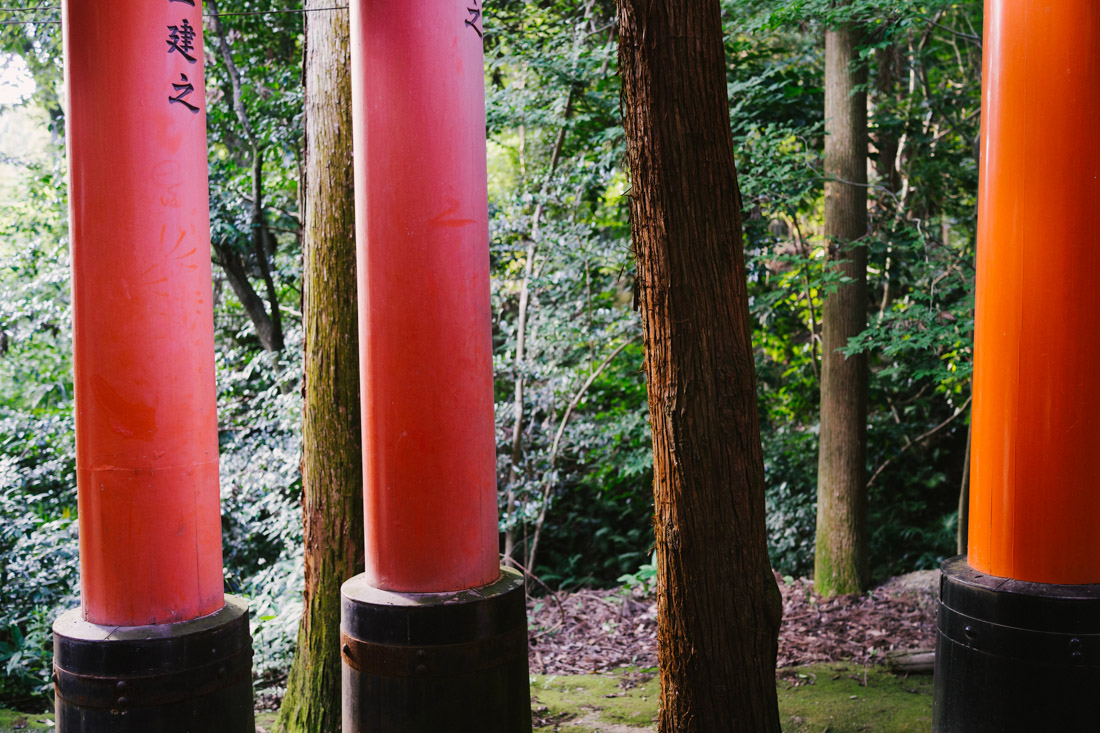 There were some trees filling in for torii along the path.