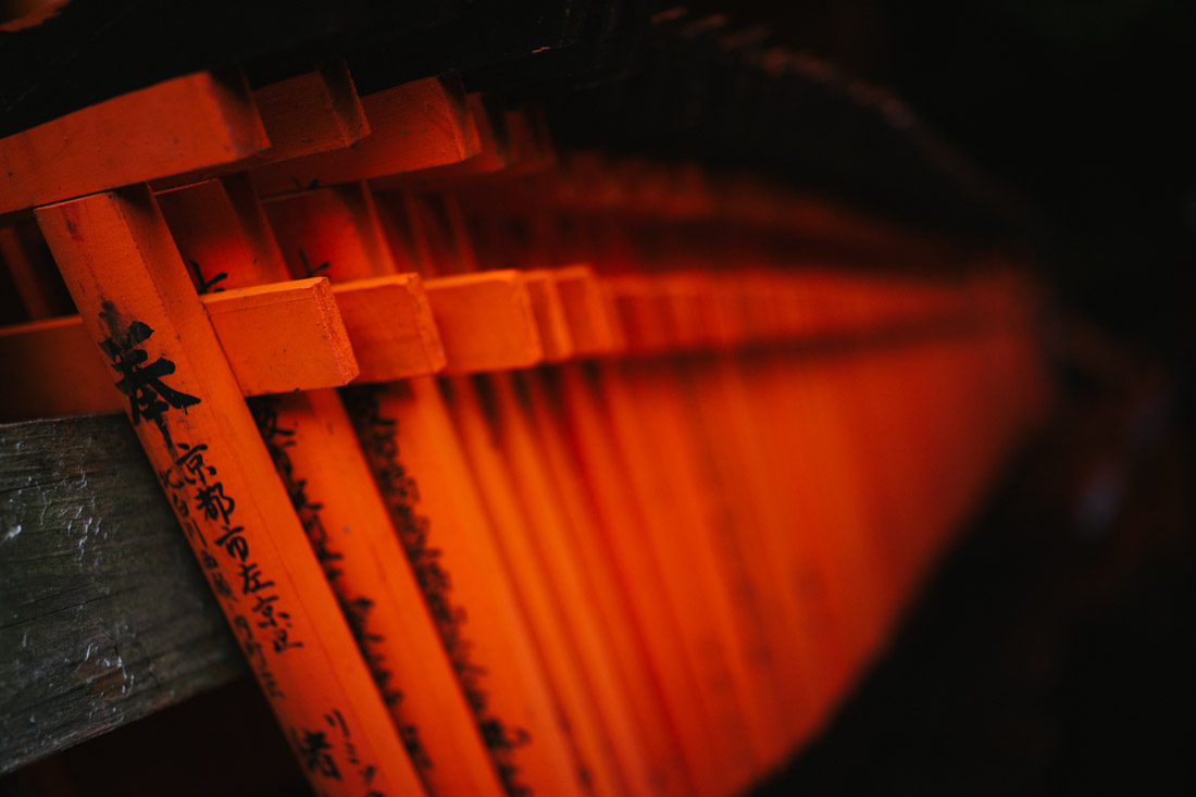 Hundreds of tiny torii that can be bought and donated to the small shrines.