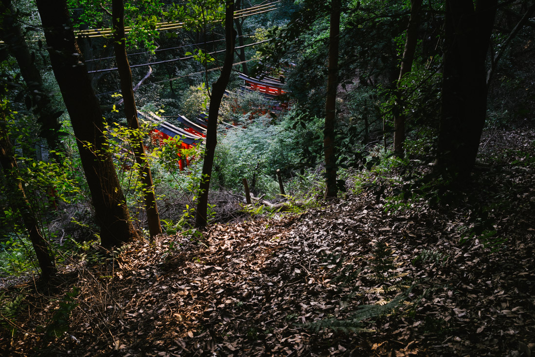 The torii path from above.