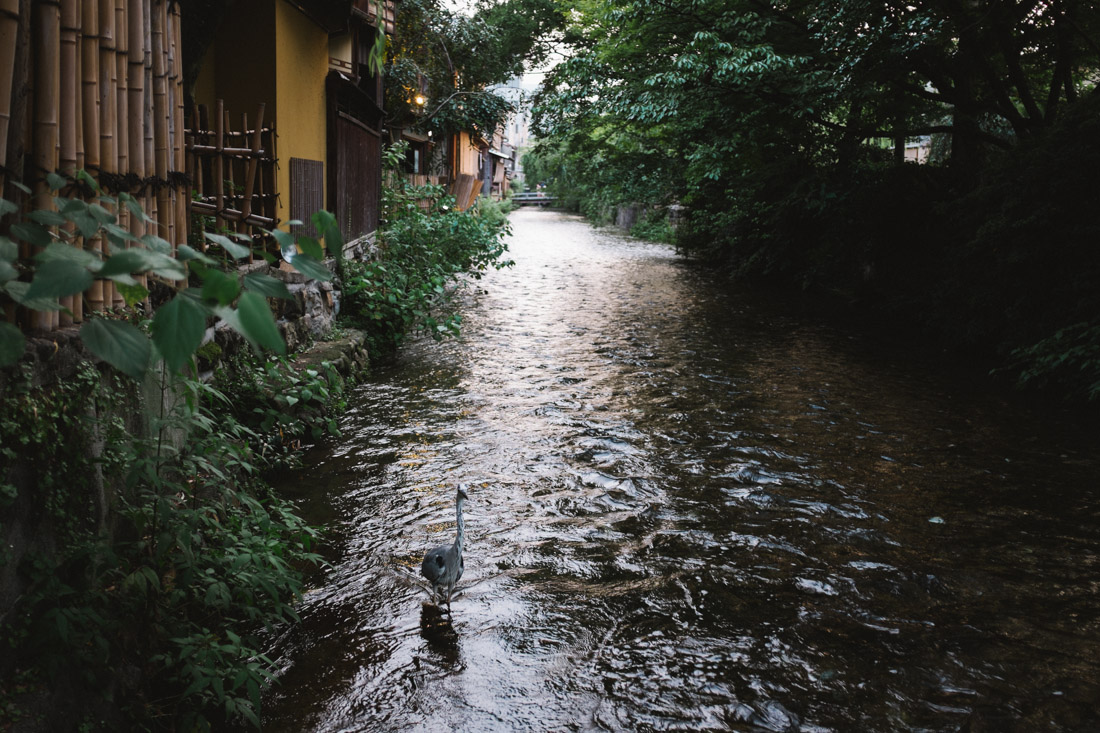 untitled-3990