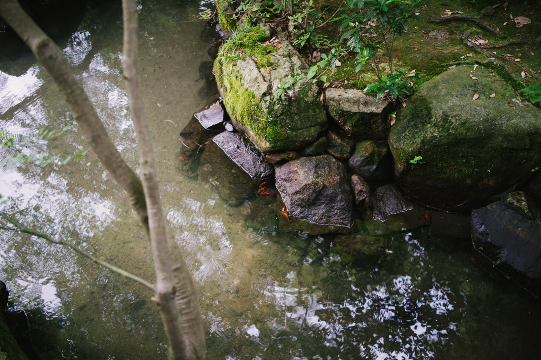 untitled-02299