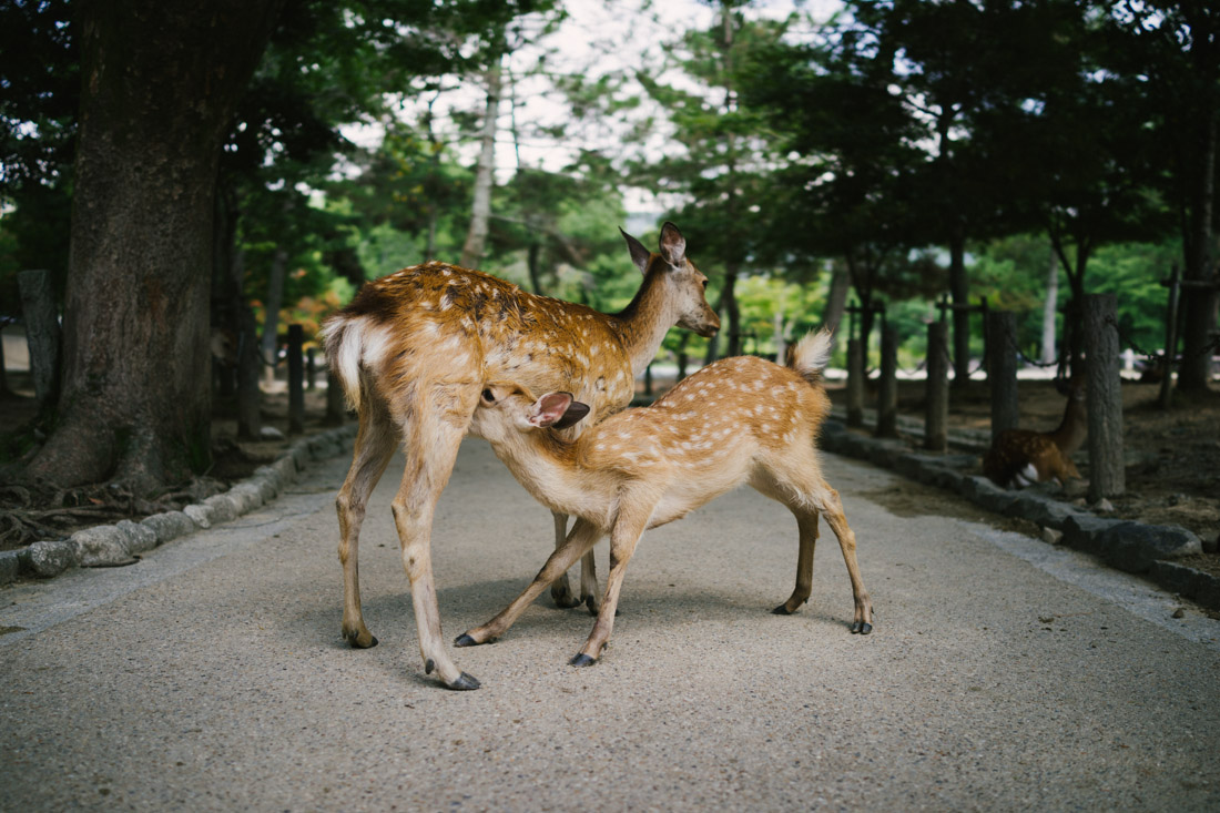untitled-02424